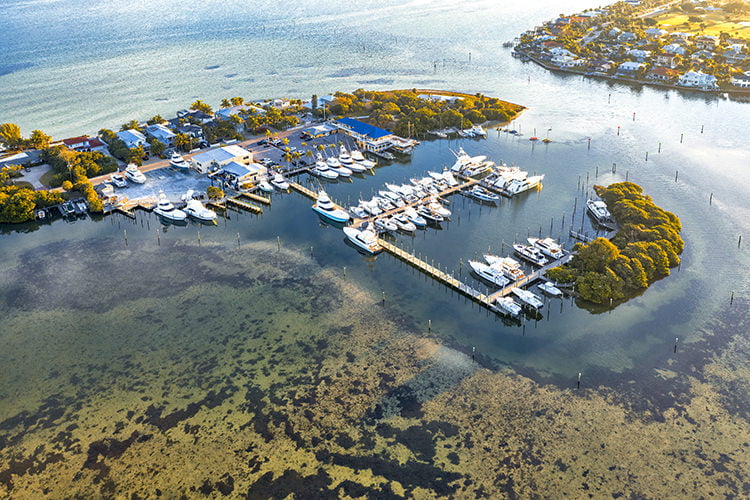 Anna Maria Island Aerial of Harbor