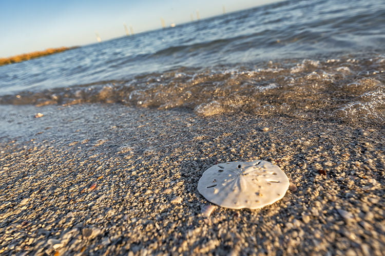 Anna Maria Island Beach