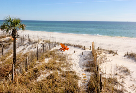 Panama City Beach sand dune