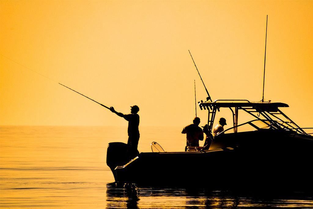 Tarpon Fishing sunset
